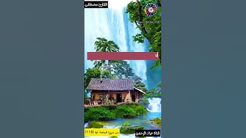 تلاوة خاشعه تشرح الصدر للقارئ مصطفى سورة المائدة