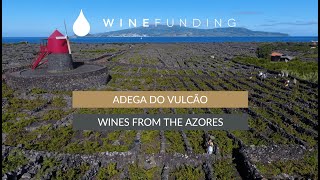 Adega Do Vulcao - The Azores