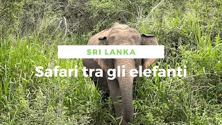 Safari degli elefanti in Sri Lanka - Urulu Eco Park