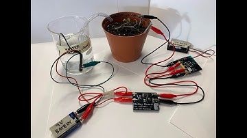 Fully Automated Plant Watering System using Microbits 1 of 2