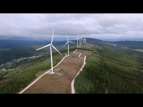 Vidéo: Sur La Contribution Réaliste Des Forêts Européennes à La Réalisation Des Objectifs Climatiques