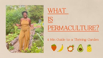 Permaculture Explained in 4 Minutes | 12 Principles for a Resilient Garden