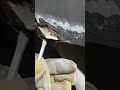 Автоваз зачем столько герметика накладывать?