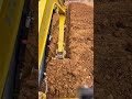 Efficient Trenching with Mini Excavator! #shorts
