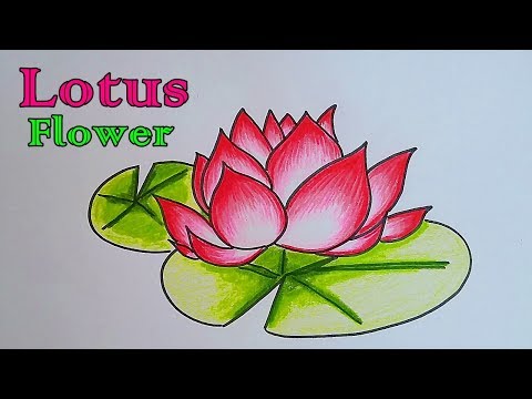 How To Draw a Lotus Flower.สอนวาดรูปดอกบัวบาน วันพระ วันเข้าพรรษา วันอาสาฬหบูชา วันมาฆบูชา :