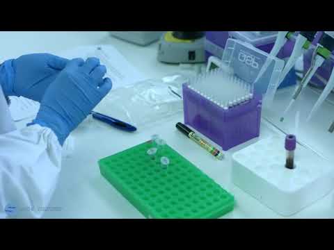 استخلاص الحمض النووي من الدم باستخدام عدة استخلاص نوع 