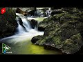 Deep Sleep Fast - Binaural Delta Beat 3 Hz with Calming Water Stream Sound