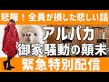 【悲報】キャンパー混乱！冬キャンプを前に起こったアルパカストーブ問題を解説