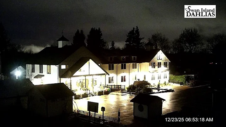 Swan Island Dahlias in Canby OR