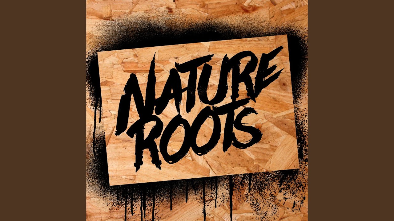 I Need a Roof - YouTube