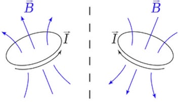 PseudovectoR(original mix)