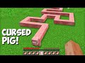 Never SPAWN this CURSED PIG in Minecraft ! What HAPPENS to STRANGEST PIG ?