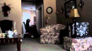 Shorty Playing With Loca