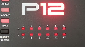 Dave Smith Instruments Prophet-12 Module Demo