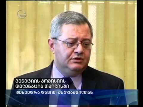 ვენეციის კომისიის დელეგაცია