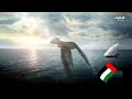 حـــصـــريـا ولأول مـرة فاصل قديم جديد طويل 2 قناة الإمارات أبوظبي الإمارات سابقة 2025 2030