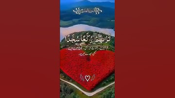 اروع واخشع واجمل تلاوة تسمعها #القران_الكريم #دويتو #تيك_توك #تلاوات #duet #تلاوه #اكسبلور #القارء
