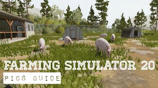 Farming Simulator 20 - Pigs Guide screenshot 5