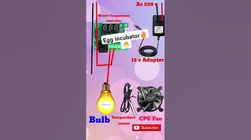 #diy Incubator for chicken eggs connection diagram #shorts #ytshorts