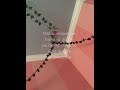 #tiktok #shortsfeed #viral #youtubeshorts #fypシ #music #real #summer #sidequest #fun #relatable