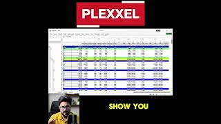 How to automate your PMS sheets with Plexxel #exceltips #primaverap6