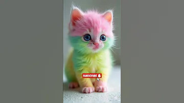 Cat Sings A Song AI Generated Singing Cat Cat Catlover Funny Catlover 