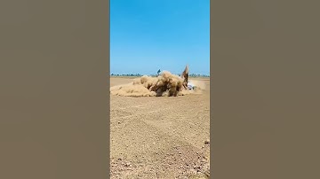 😍🥀🖤 Swift Stunt 💫💕😂 #short #shorts #viral #cars #new #modified #swift #stunt #drift #whaite