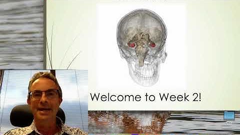 PSYC 1001 Welcome to Week 2