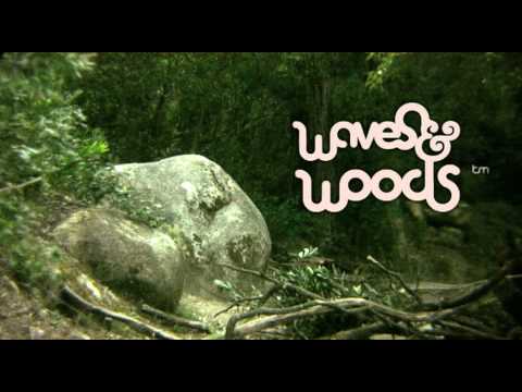 WAVES & WOODS : GO SKATEBOARDING DAY - woods