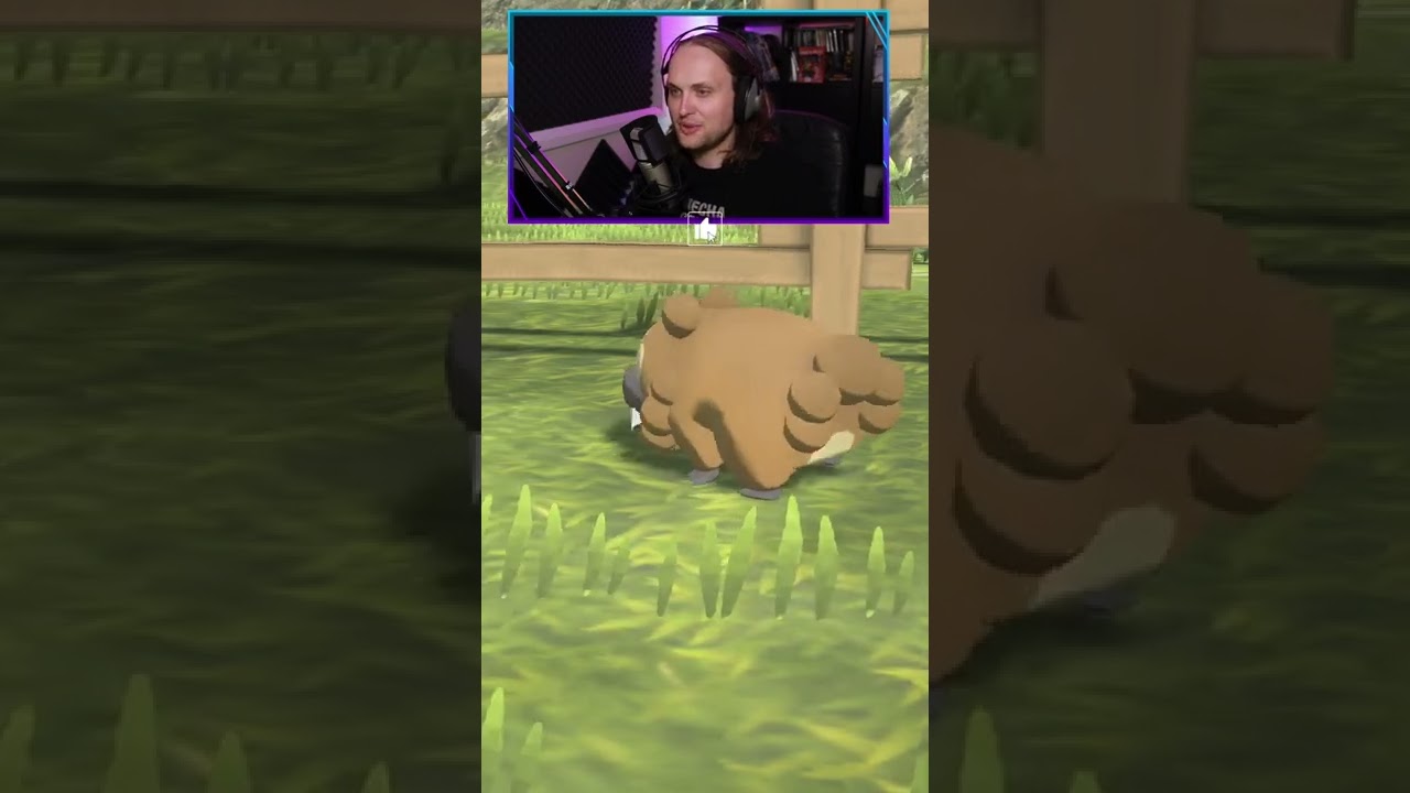 I have always hated Bidoof Pokemon legends Arceus 