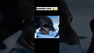 Ramn Siendo Ramn  humor parati happy Feet