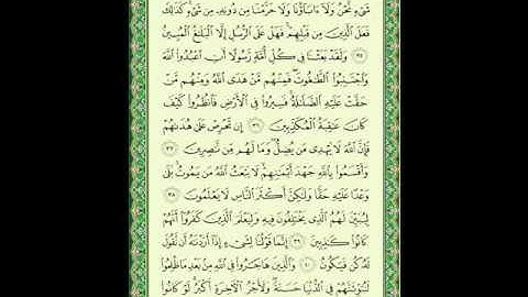 سورة النحل 5 من الأية 35 إلى 42