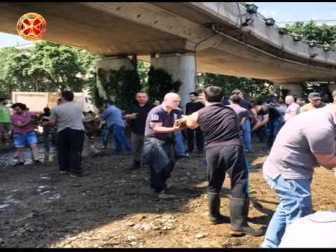 უწმინდესი მადლობას უხდის ახალგაზრდებს