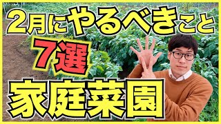 家庭菜園で2月にやるべきこと7選！冬に野菜を育てる準備を始めるチェックリスト【初心者向け】