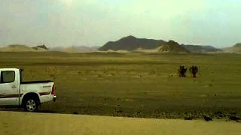 دحيم الحماد تلاوة من سورة فصلت رنيه 1431.mp4