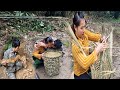 The girl and the boy cut down wicker trees and dug up wild cassava roots to cook