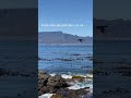 Robben Island- Vape Town, South Africa book a Private Tour www.africansuntours.co.za
