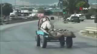 Bursada Trafikte Şok At Arabası Fırladı