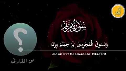 الشيخ محمد هليل . سورة مريم