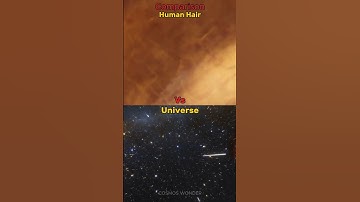 Human Hair Vs The Universe Zoom In/Out Comparison #shorts #zoomin #space