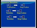 DNA damage and repair#geneticengineering