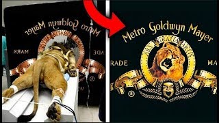 Top 10 Most Iconic Brand Logos of All Time | Viral Feed Top 10 Most Iconic Brand Logos of All Time | Viral Feed