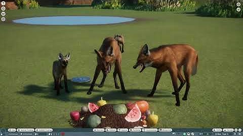 Maned wolf in Planet Zoo