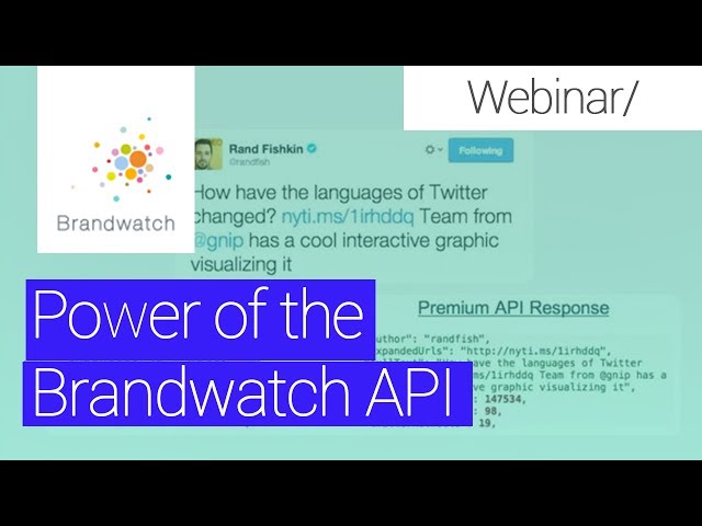 Take your Brandwatch data anywhere: The power of the API