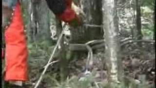 Portable Winch - Flaschenzug