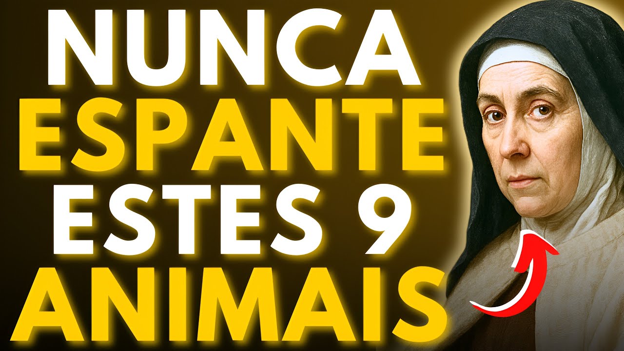 ⚠️SANTA TERESA ADVERTE: 9 ANIMAIS QUE UM CRISTÃO NUNCA DEVE ESPANTAR — SUA MISSÃO É SAGRADA!