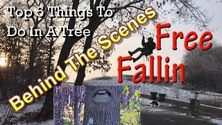 Top 5 Things To Do In A Tree  Behind The Scenes!