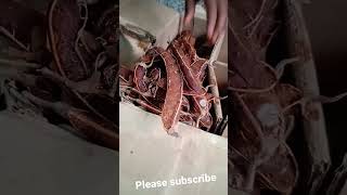 process of tamarind please subscribe @worlds beauty