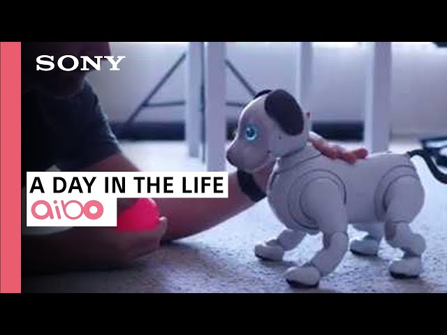 AIBO - The Robot Dog