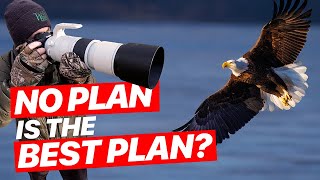 Expect the Unexpected | Photographing Bald Eagles with RF200-800